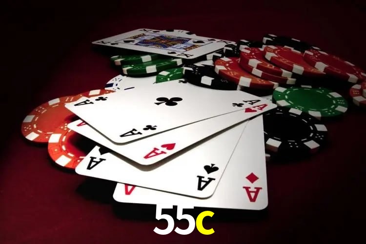 Programa VIP 55c